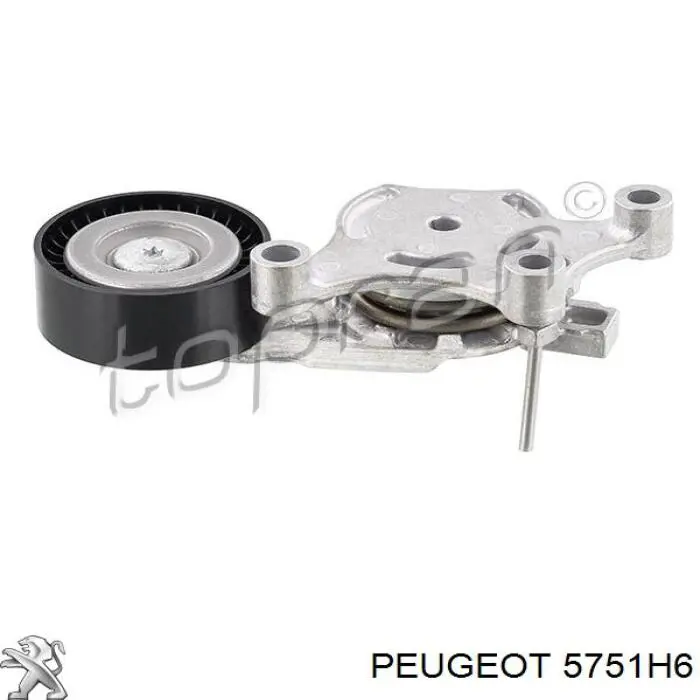 Reguladora de tensão da correia de transmissão Peugeot/Citroen 5751H6 preço, a partir de 48,48 USD