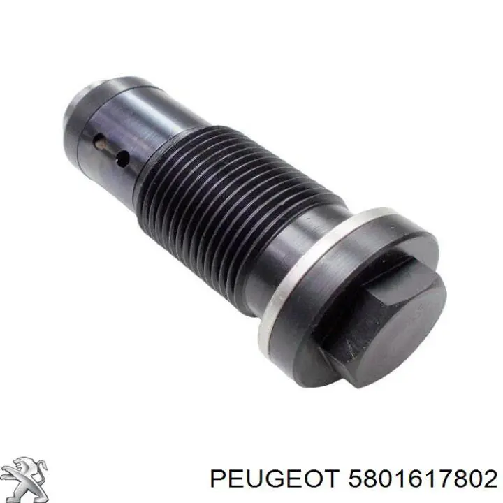 Compre 5801617802 Fiat/Alfa/Lancia Reguladora de tensão da cadeia do mecanismo de distribuição de gás