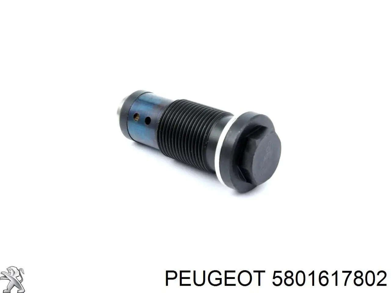 5801617802 Fiat/Alfa/Lancia Reguladora de tensão da cadeia do mecanismo de distribuição de gás