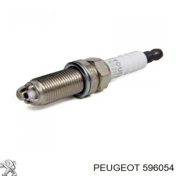 Vela de ignição Peugeot/Citroen 596054 preço, a partir de 5,18 USD