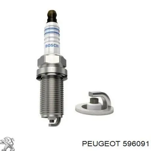 Compre 596091 Peugeot/Citroen Vela de ignição