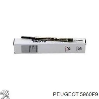 Compre 5960F9 Peugeot/Citroen Vela de incandescência