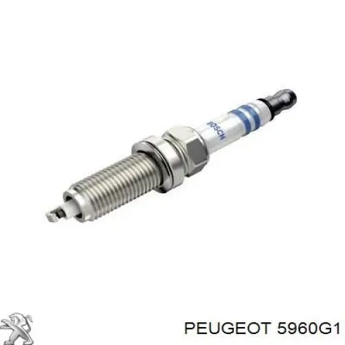 5960G1 Peugeot/Citroen Vela de ignição