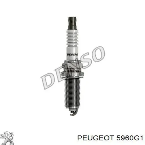 Vela de ignição Peugeot/Citroen 5960G1 preço, a partir de 5,96 USD