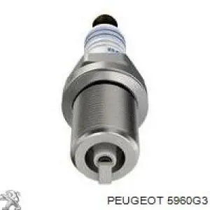 Compre 5960G3 Peugeot/Citroen Vela de ignição