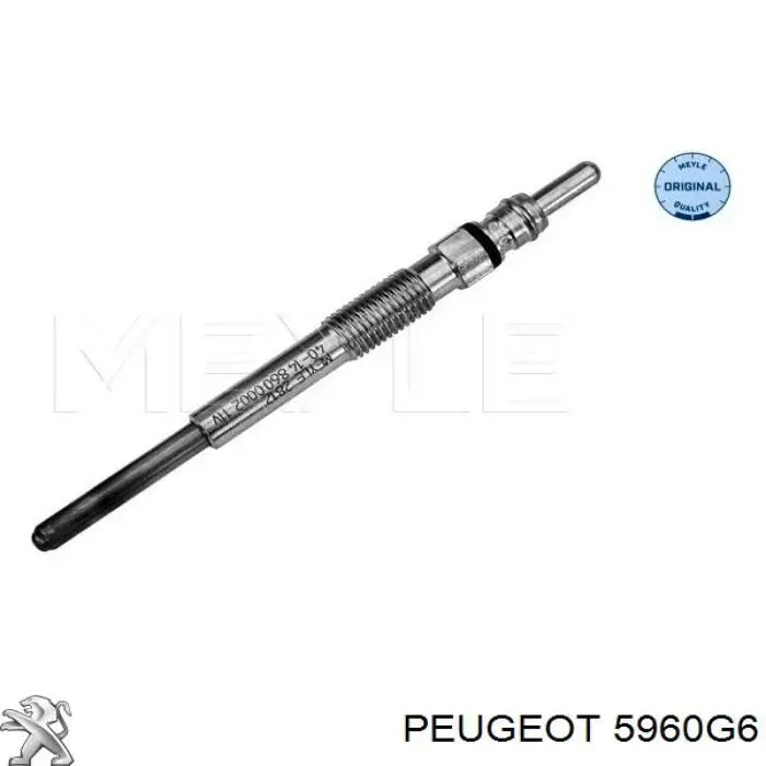 5960G6 Peugeot/Citroen Vela de incandescência