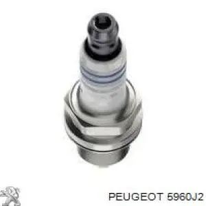 Vela de ignição Peugeot/Citroen 5960J2 preço, a partir de 4,38 USD