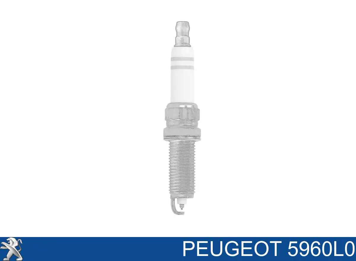 Vela de ignição Peugeot/Citroen 5960L0 preço, a partir de 14,03 USD