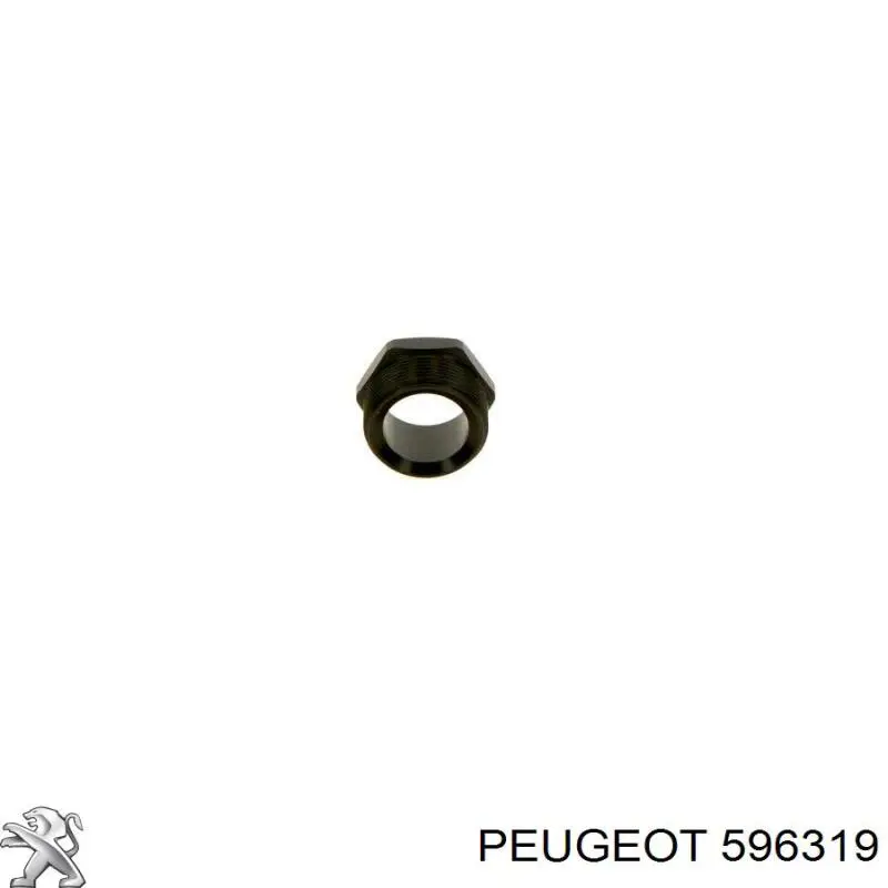 Compre 596319 Peugeot/Citroen Ponta da vela de ignição