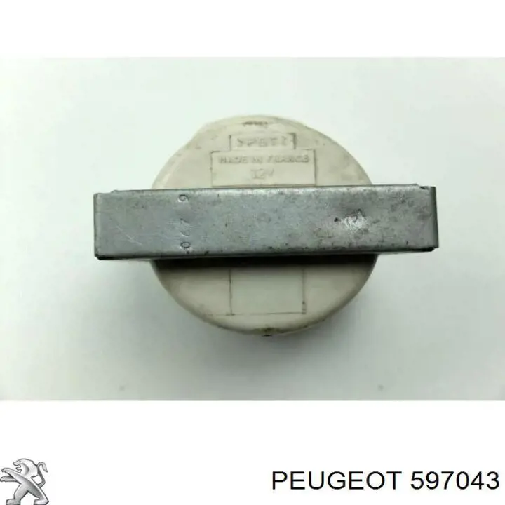 Compre 597043 Peugeot/Citroen Bobina de ignição