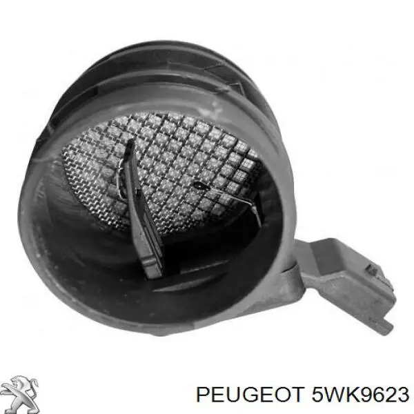 Sensor de fluxo (consumo) de ar, medidor de consumo M.A.F. - (Mass Airflow) Peugeot/Citroen 5WK9623 preço, a partir de 30,70 USD