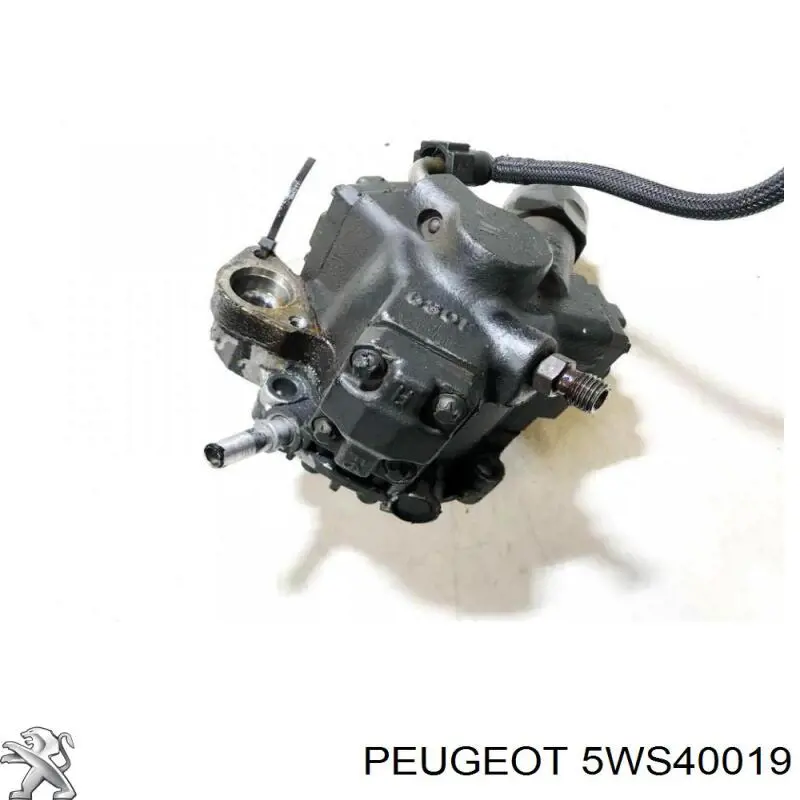 Compre 5WS40019 Peugeot/Citroen Bomba de combustível de pressão alta