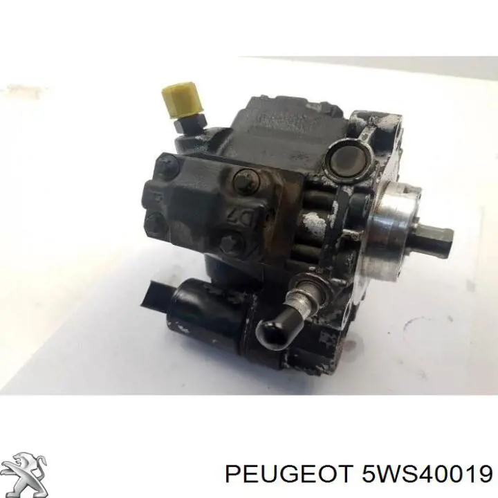 Bomba de combustível de pressão alta 5WS40019 Peugeot/Citroen