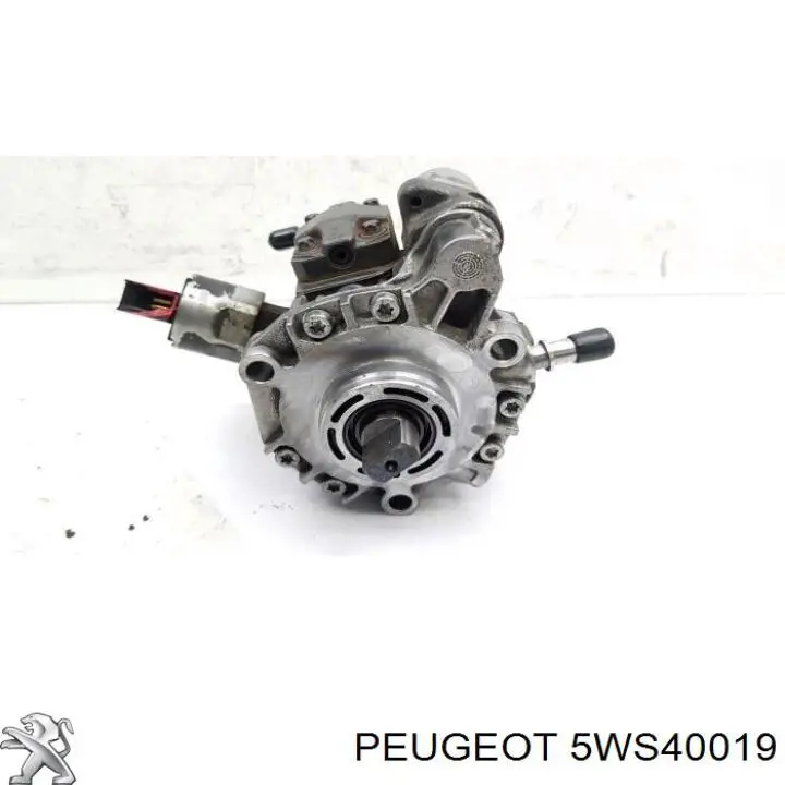 Bomba de combustível de pressão alta Peugeot/Citroen 5WS40019