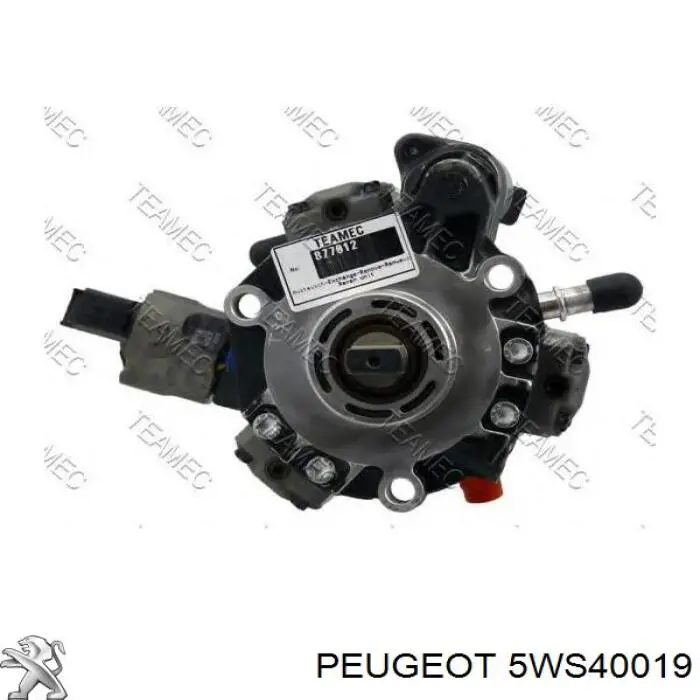 5WS40019 Peugeot/Citroen Bomba de combustível de pressão alta