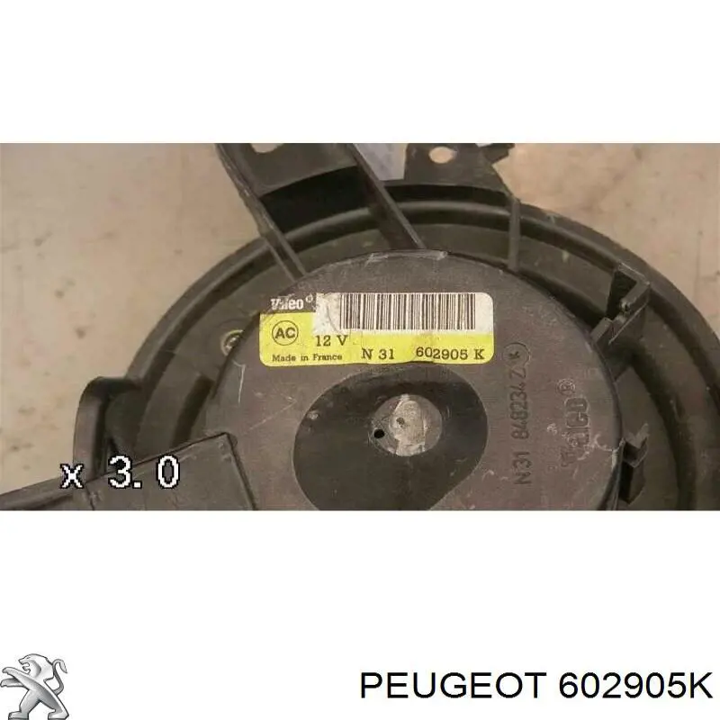 602905K Peugeot/Citroen 