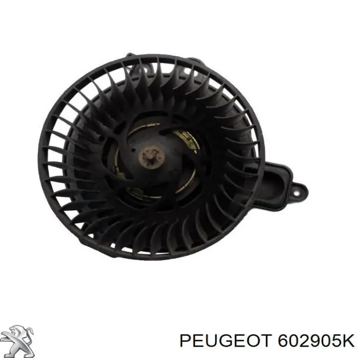  602905K Peugeot/Citroen