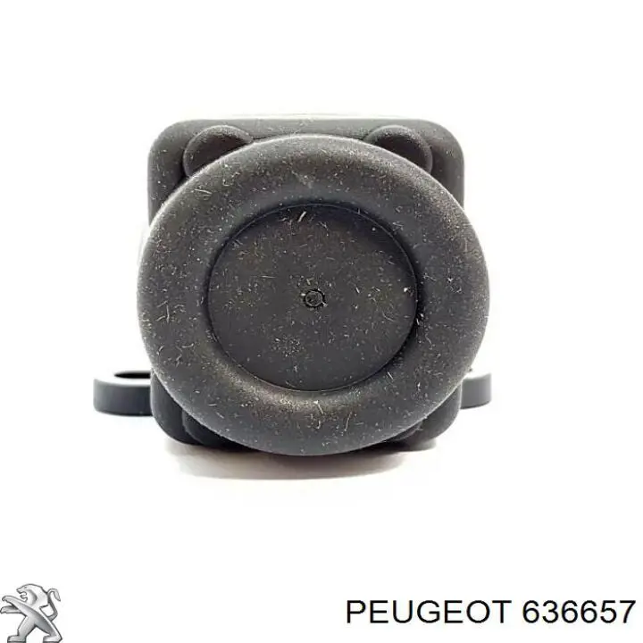 636657 Peugeot/Citroen 