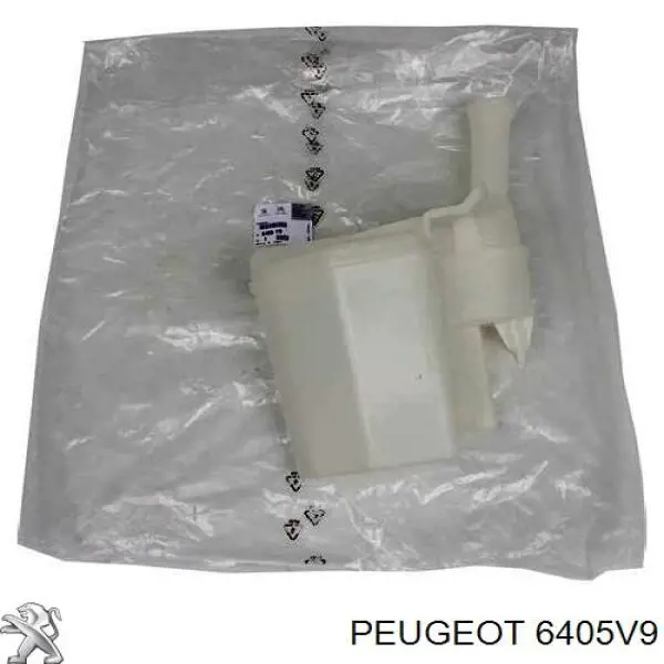 6405V9 Peugeot/Citroen Tanque de fluido para lavador de vidro