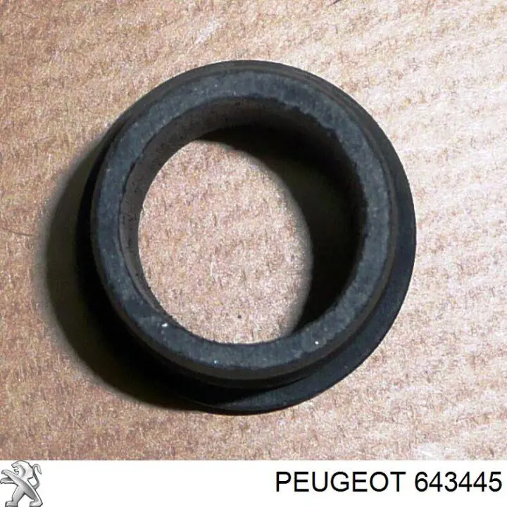 Compre 88206 3RG Vedante anular de bomba de fluido para lavador
