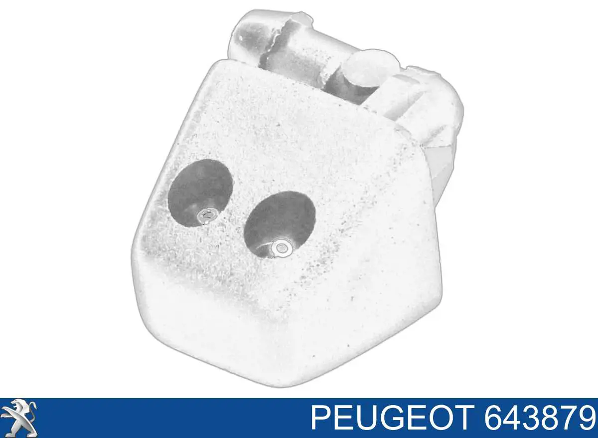 643879 Peugeot/Citroen Injetor de fluido para lavador de pára-brisas