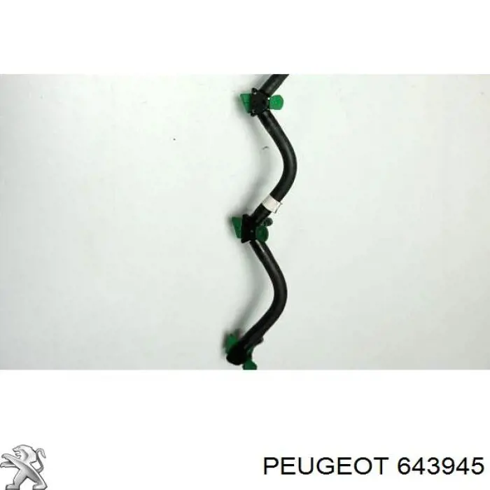 643945 Peugeot/Citroen 