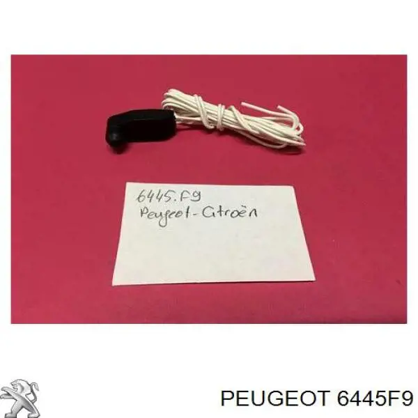 Sensor de temperatura do meio ambiente 30213 3RG
