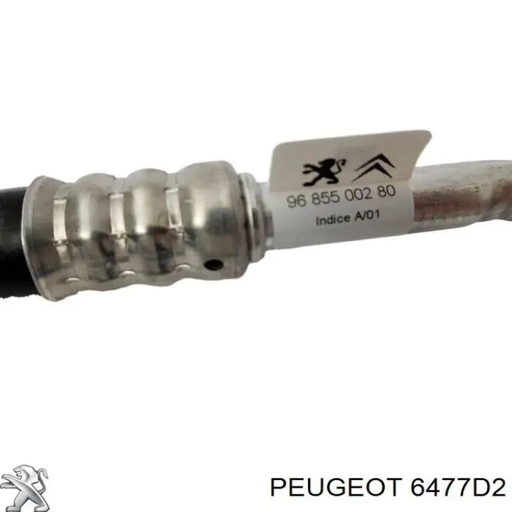 Compre KTT160136 Thermotec Mangueira de aparelho de ar condicionado, desde o radiador até o vaporizador