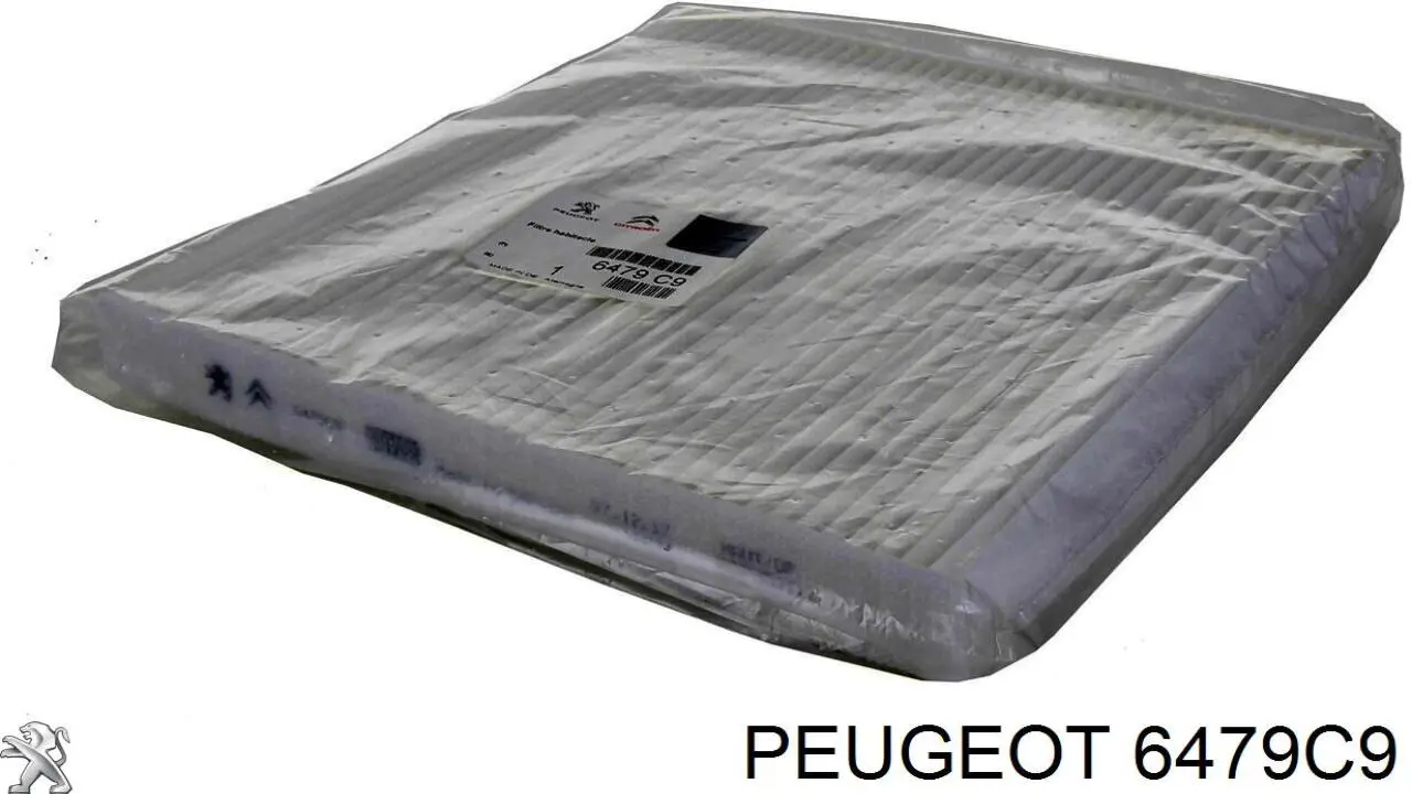 Compre 6479C9 Peugeot/Citroen Filtro de salão