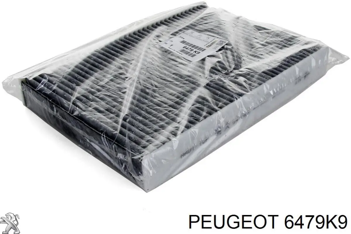 Compre 6479K9 Peugeot/Citroen Filtro de salão