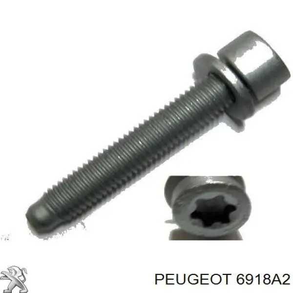 6918A2 Peugeot/Citroen Parafuso de suporte de coxim de motor