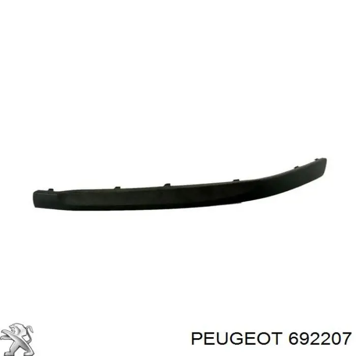 692207 Peugeot/Citroen 