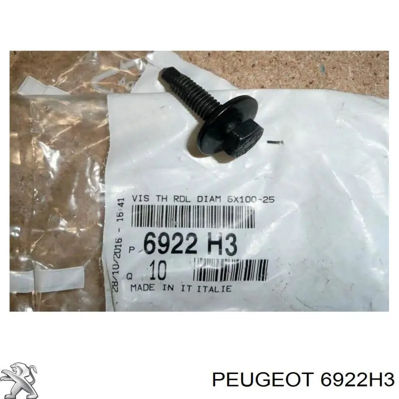 6922H3 Peugeot/Citroen Parafuso de proteção de motor