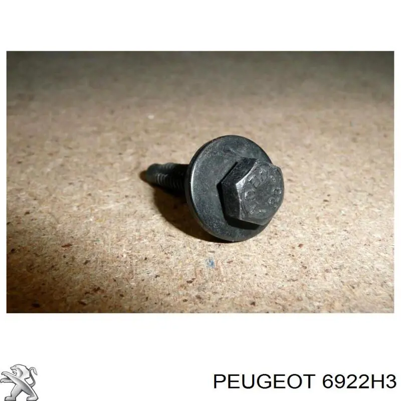 Parafuso de proteção de motor Peugeot/Citroen 6922H3 preço, a partir de 2,29 USD