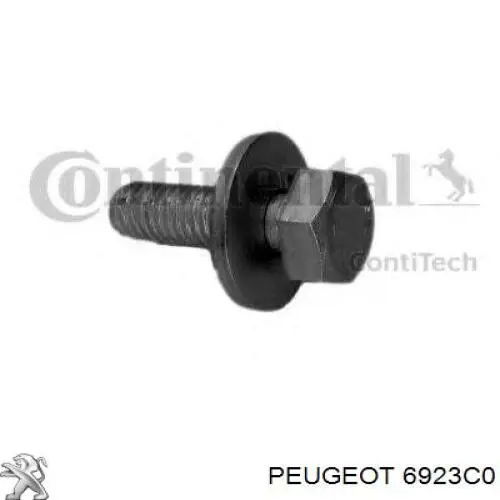 6923C0 Peugeot/Citroen Correia do mecanismo de distribuição de gás, kit