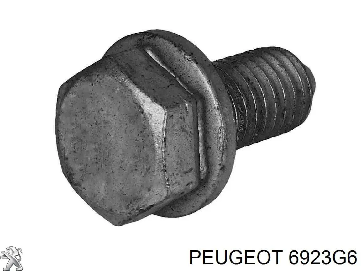 6923G6 Peugeot/Citroen Parafuso