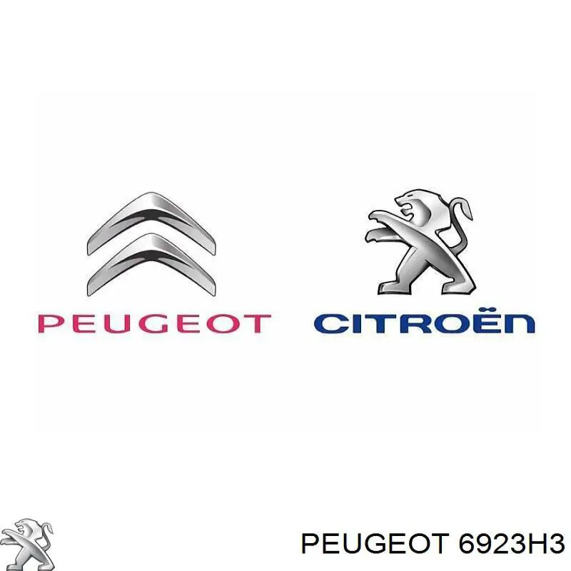 692372 Peugeot/Citroen Parafuso
