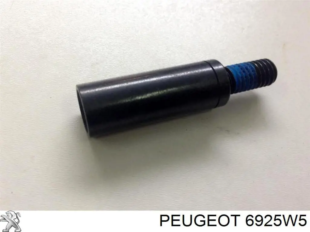 692584 Peugeot/Citroen Parafuso