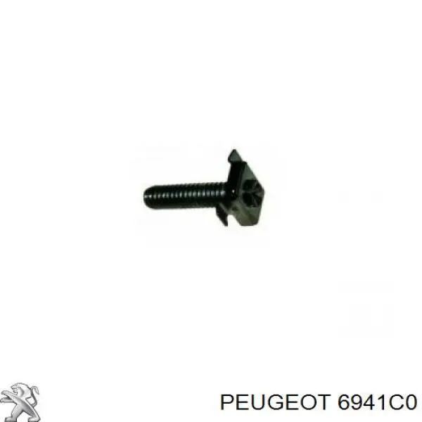 Compre 6941C0 Peugeot/Citroen Porca cativa para parafuso auto-roscante