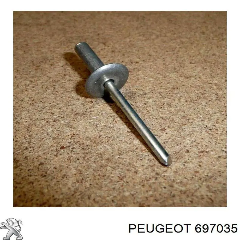 697035 Peugeot/Citroen 