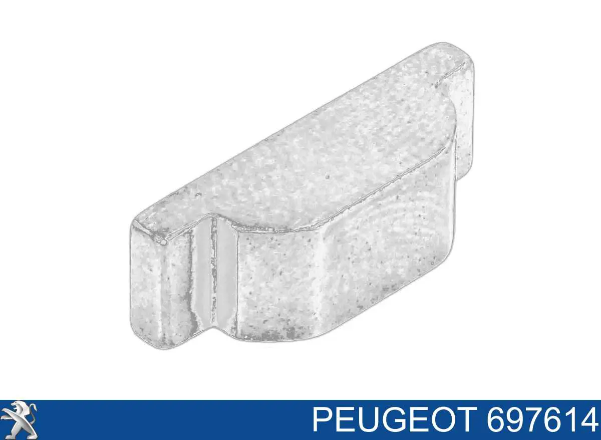 697614 Peugeot/Citroen Chaveta de cambota