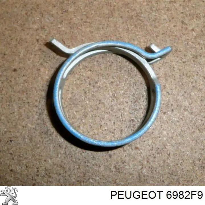 6982F9 Peugeot/Citroen 