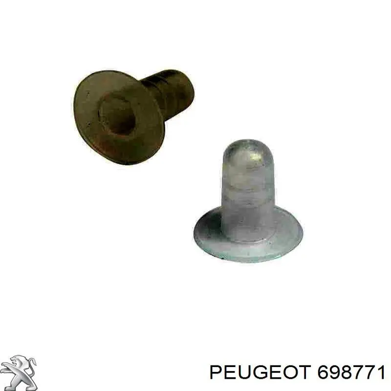 Tampão de fundo de carroçaria Peugeot/Citroen 698771 preço, a partir de 0,28 USD