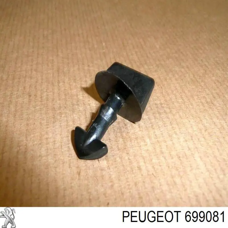 699081 Peugeot/Citroen 