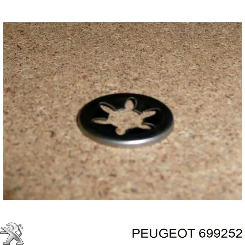 699252 Peugeot/Citroen 