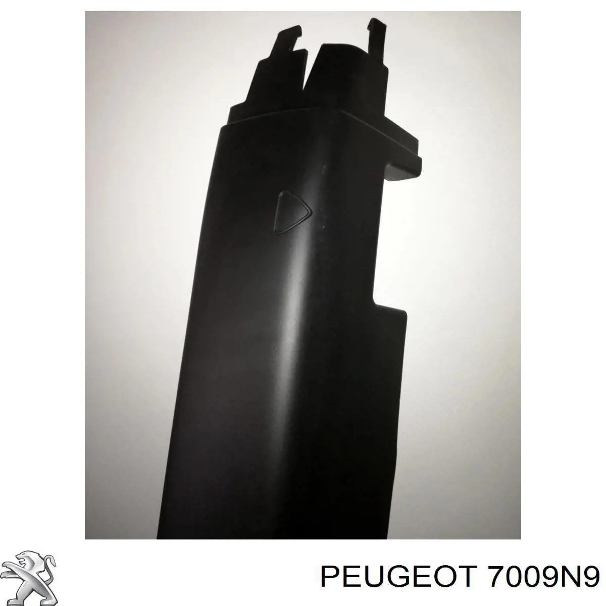 7009N9 Peugeot/Citroen Placa sobreposta (moldura) externa esquerda de acesso