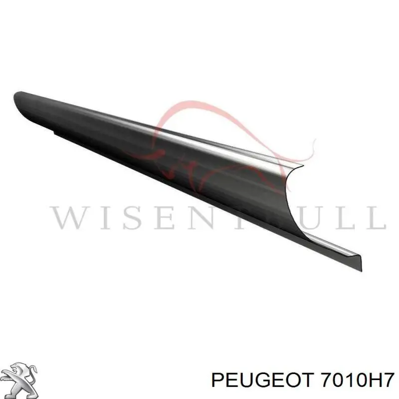 Acesso externo direito Citroen C3 I FC