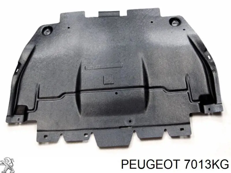 Proteção de motor, de panela (da seção de motor) Citroen C5 III RD