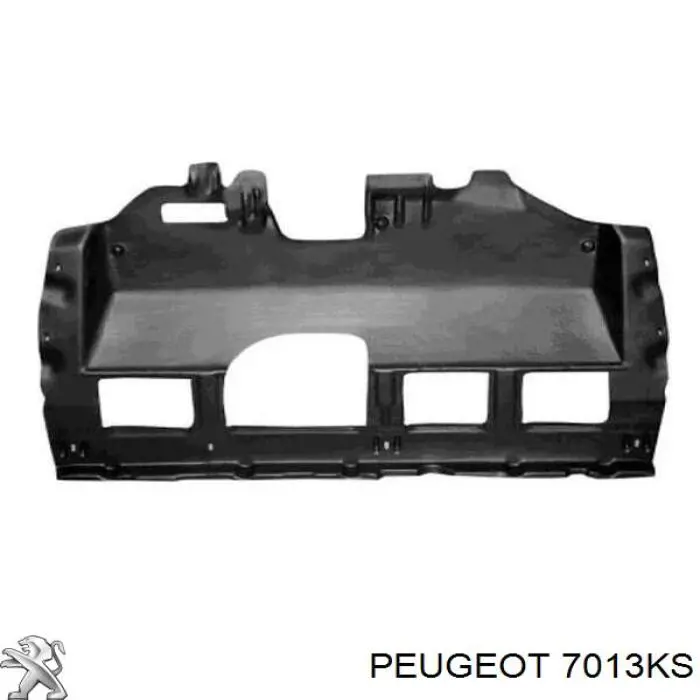 Compre 7013KS Peugeot/Citroen Proteção de motor, de panela (da seção de motor)