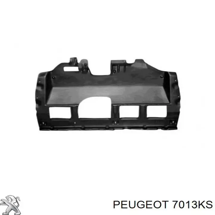 Compre 7013KS Peugeot/Citroen Proteção de motor, de panela (da seção de motor)